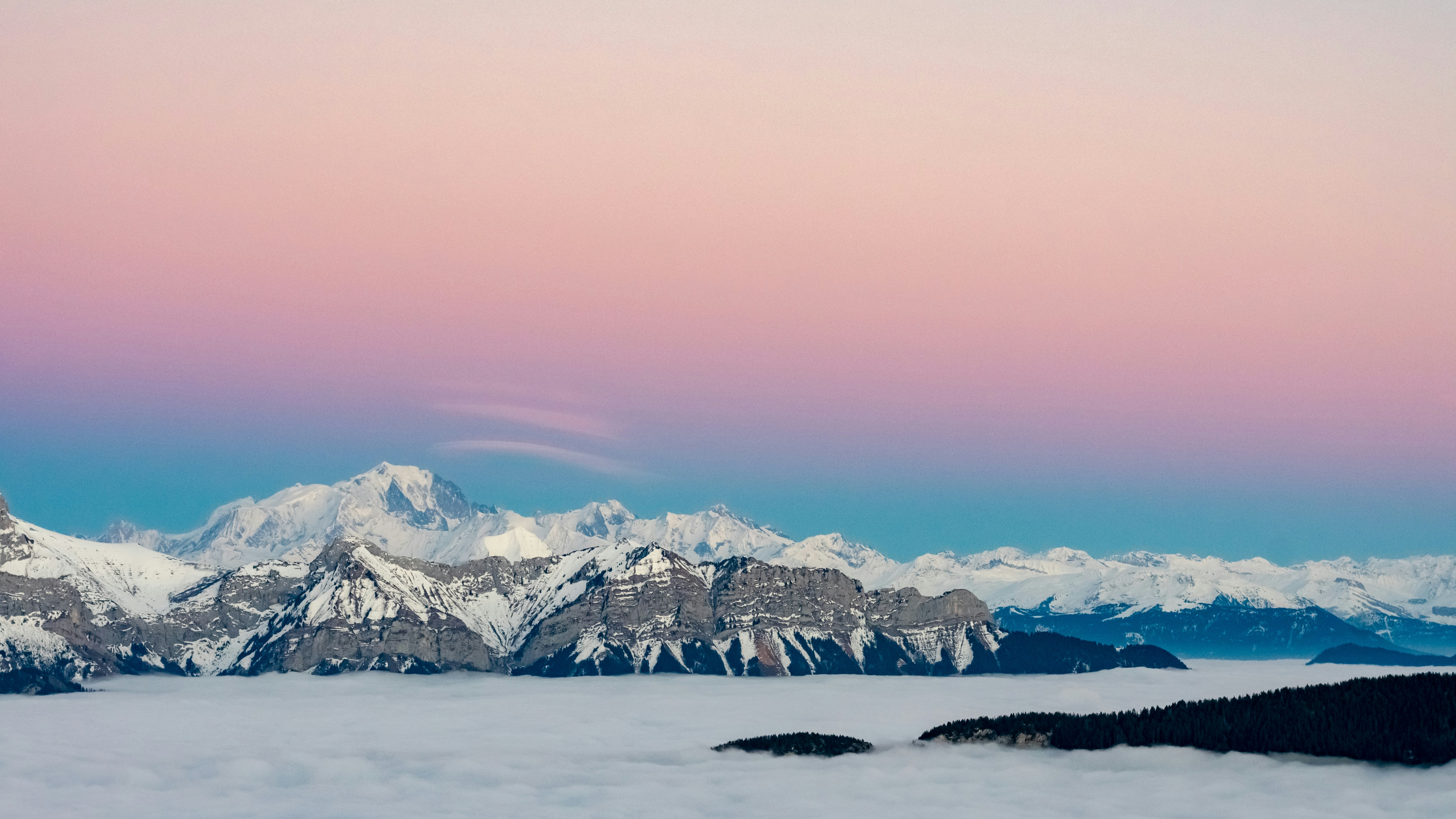 Photo by bosco_shots