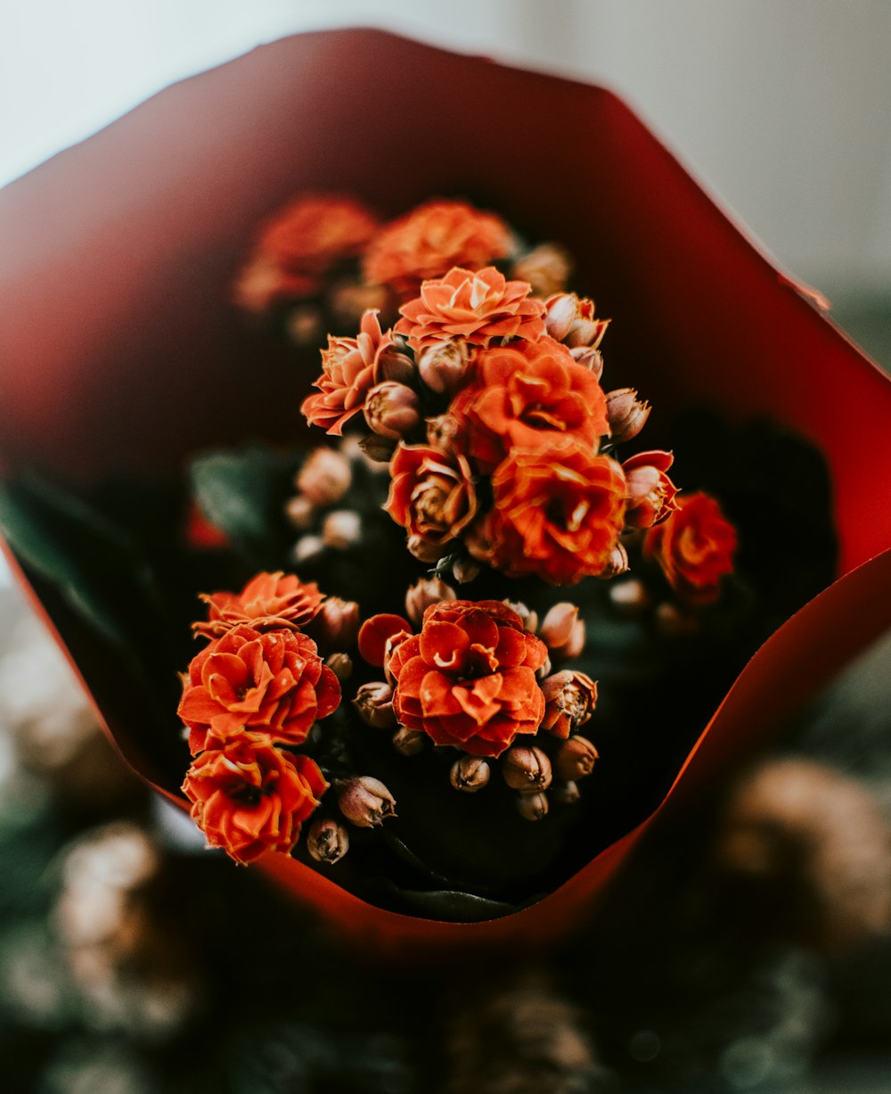 orange petaled flower