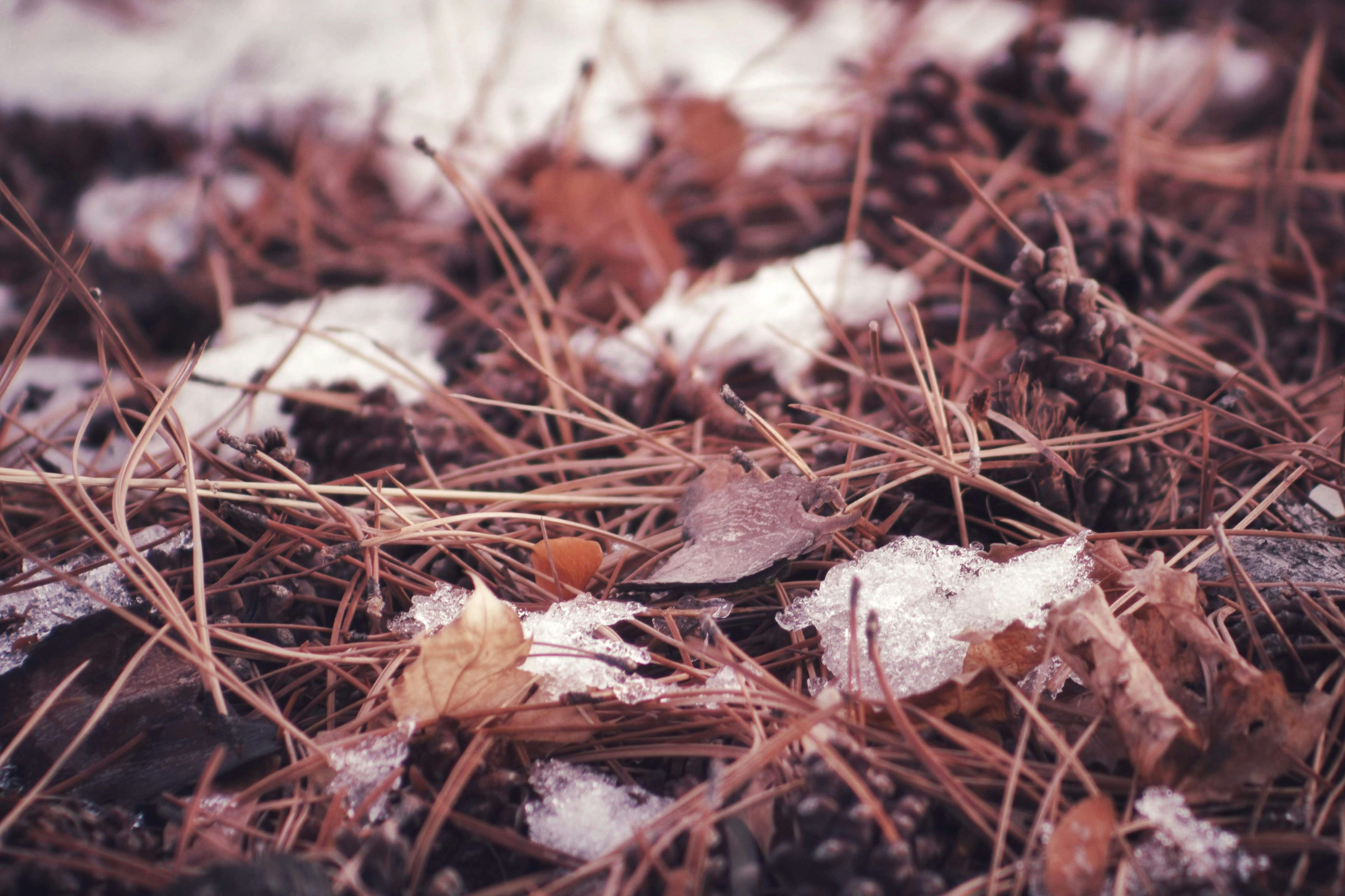 Photo by joshua_hoehne