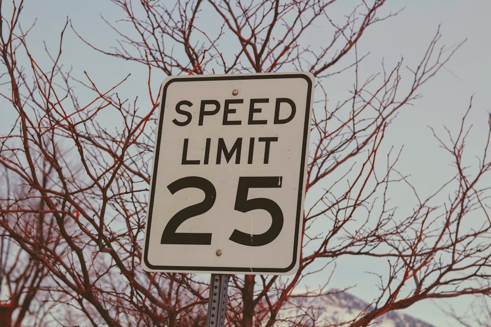 white Speed Limit 25 signage near tree