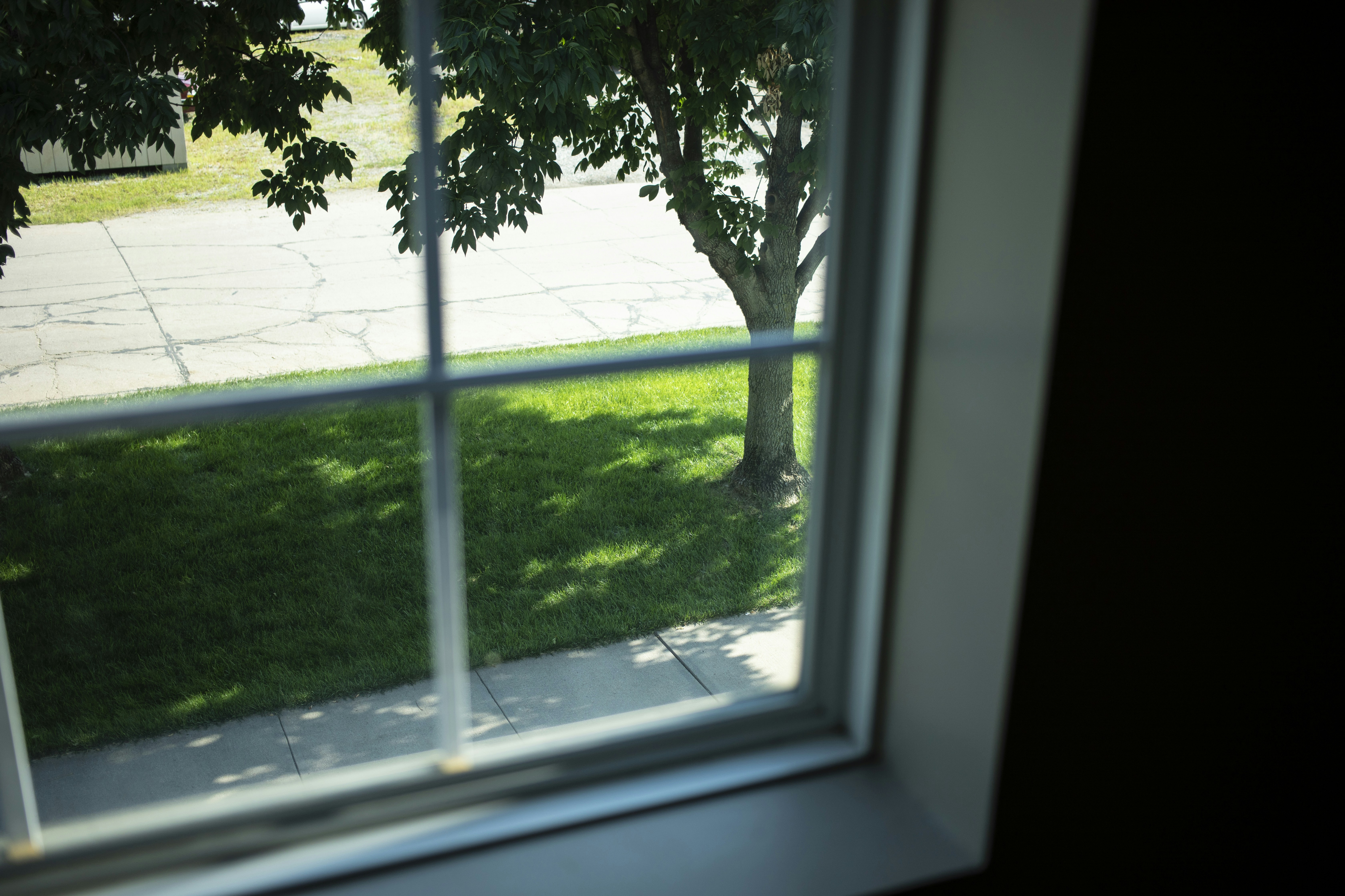 Home Window Replacement in Wilson