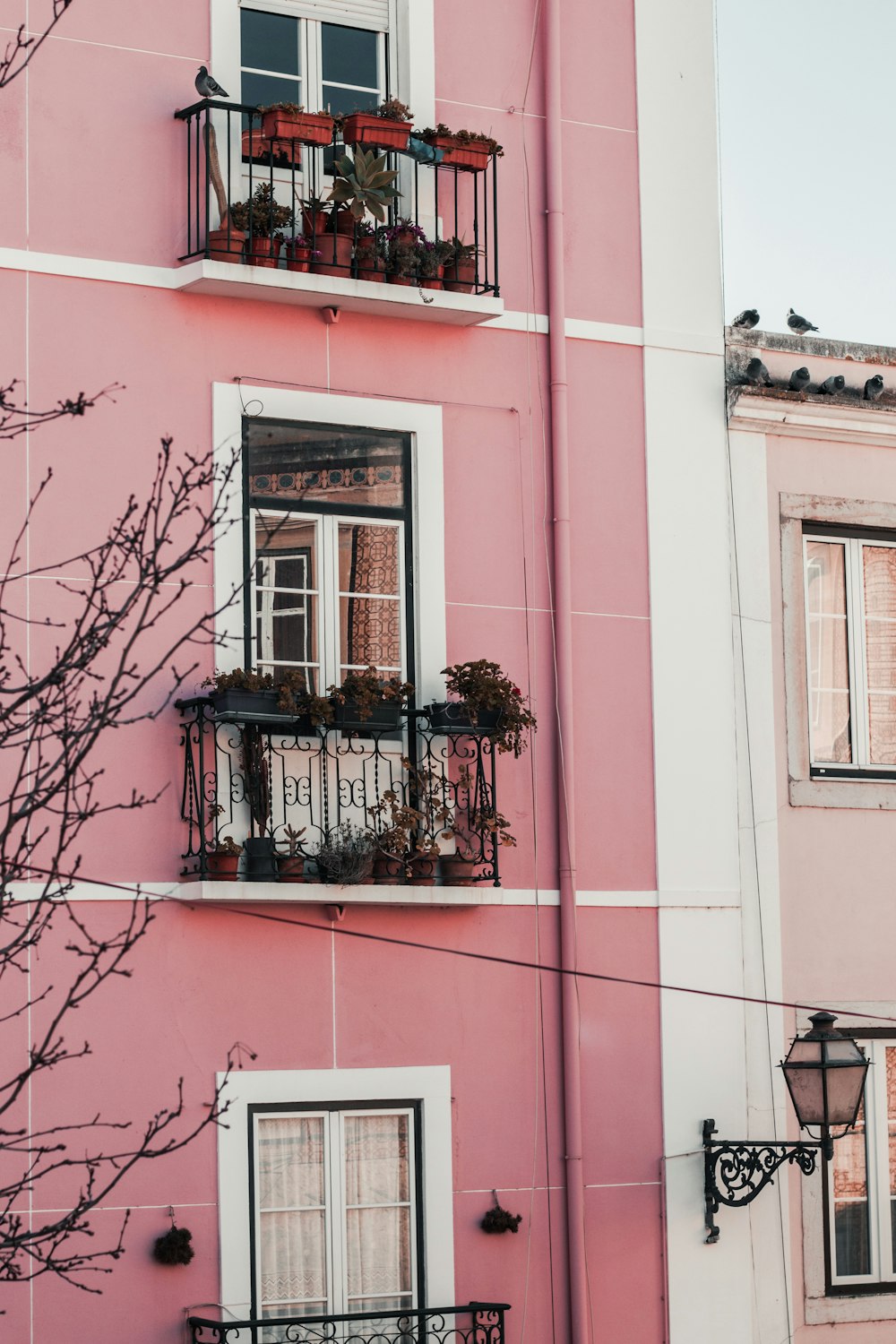 pink and white concrete building