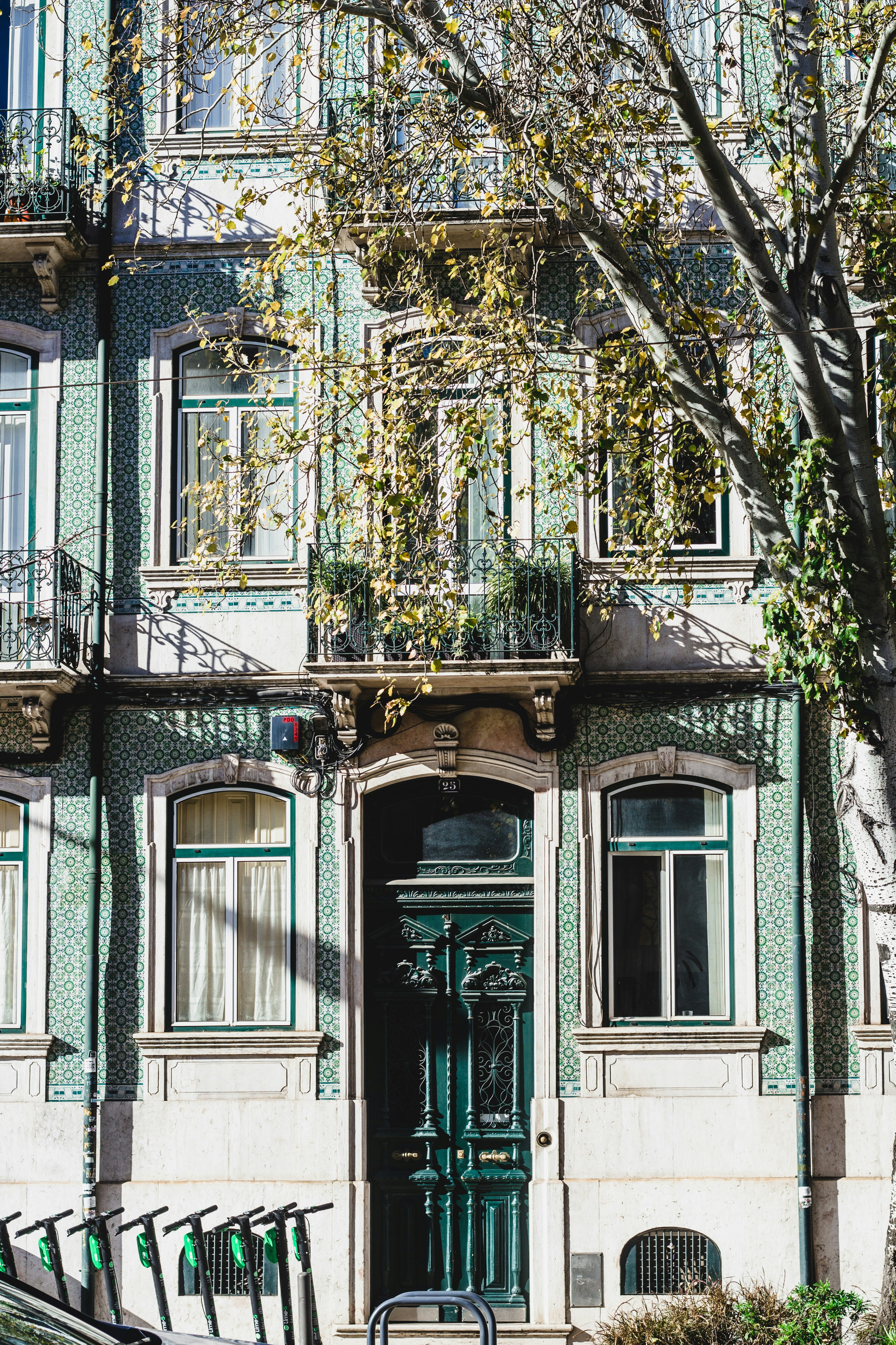 Photo by maxineficheux