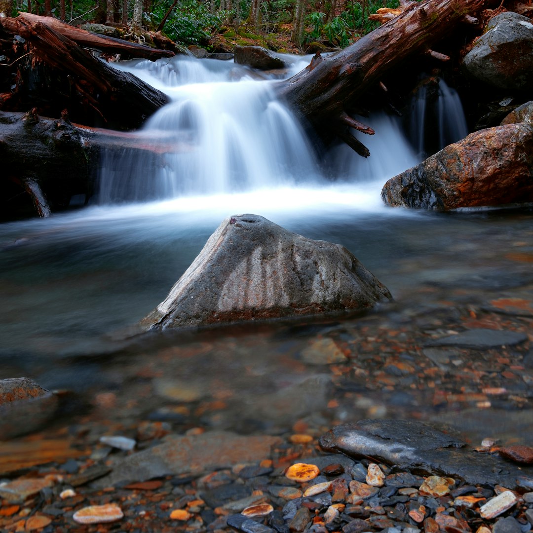 This was my first time hiking the Alum Cave Trail to Mount Leconte in the Smokey Mountain National Forest. I must say it was one of the most gorgeous places I have ever had the privilege to hike. For miles, you walk along side of this beautiful stream. The water is crystal clear, and clean enough to drink without filtering. Streams that come off of the Appalachian Mountains contain some of the cleanest natural water on earth. Its very crisp and delicious. 

After a long hike, at the end of the trail, I spotted this composition. I had to make it come to life.
