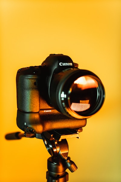 Мария Козлова cover