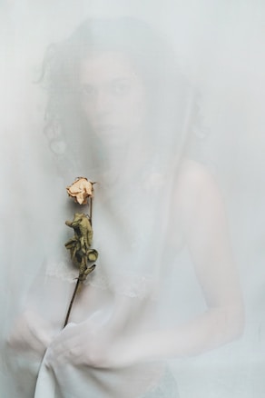 A person stands behind a translucent fabric, holding a dried rose. The overall atmosphere is ethereal and mysterious, with soft lighting creating an almost dreamlike appearance.