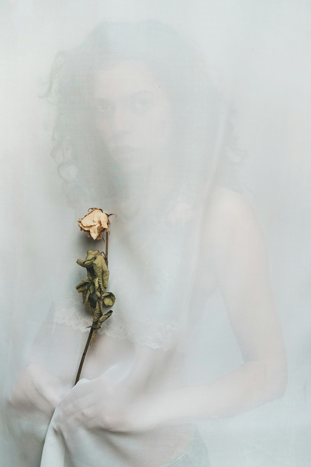 woman holding orange petaled flower