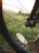 Close-up of a happy cyclist holding a freshly repaired bike wheel outdoors.