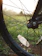 Close-up of a happy cyclist holding a freshly repaired bike wheel outdoors.