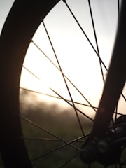 Close-up of a bicycle wheel spinning on a sunny trail.
