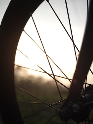 A close-up of a bicycle wheel on a sunny day.