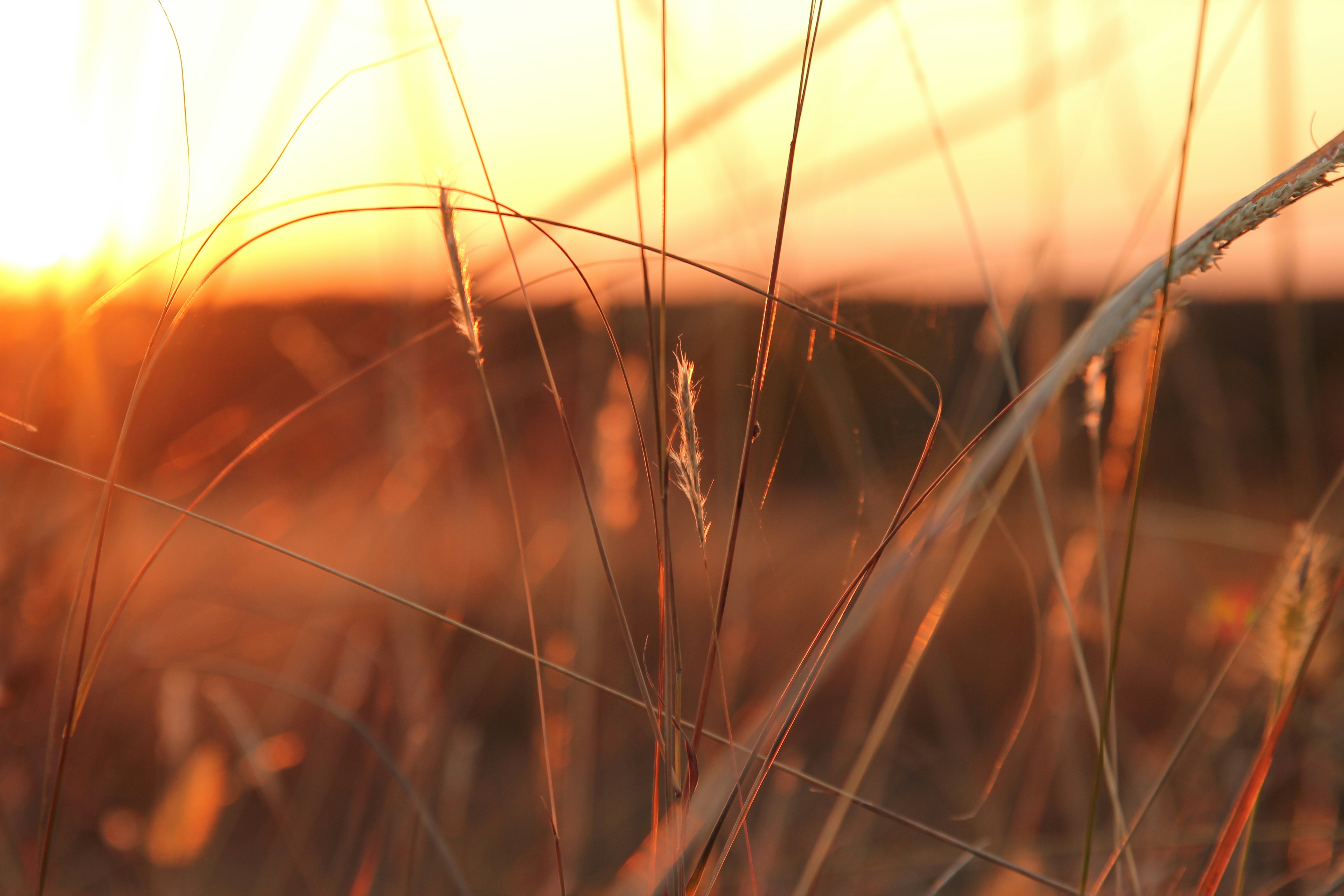 Photo by addiebrookephotography