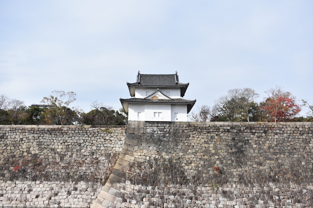 white and black pagoda house