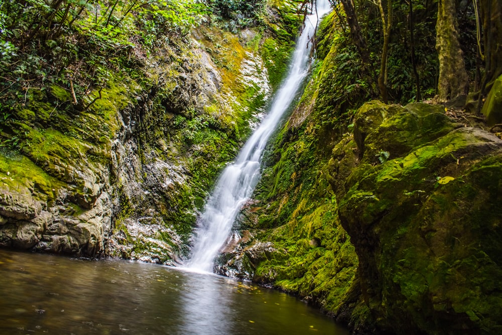 waterfalls surrounded of trees during daytime