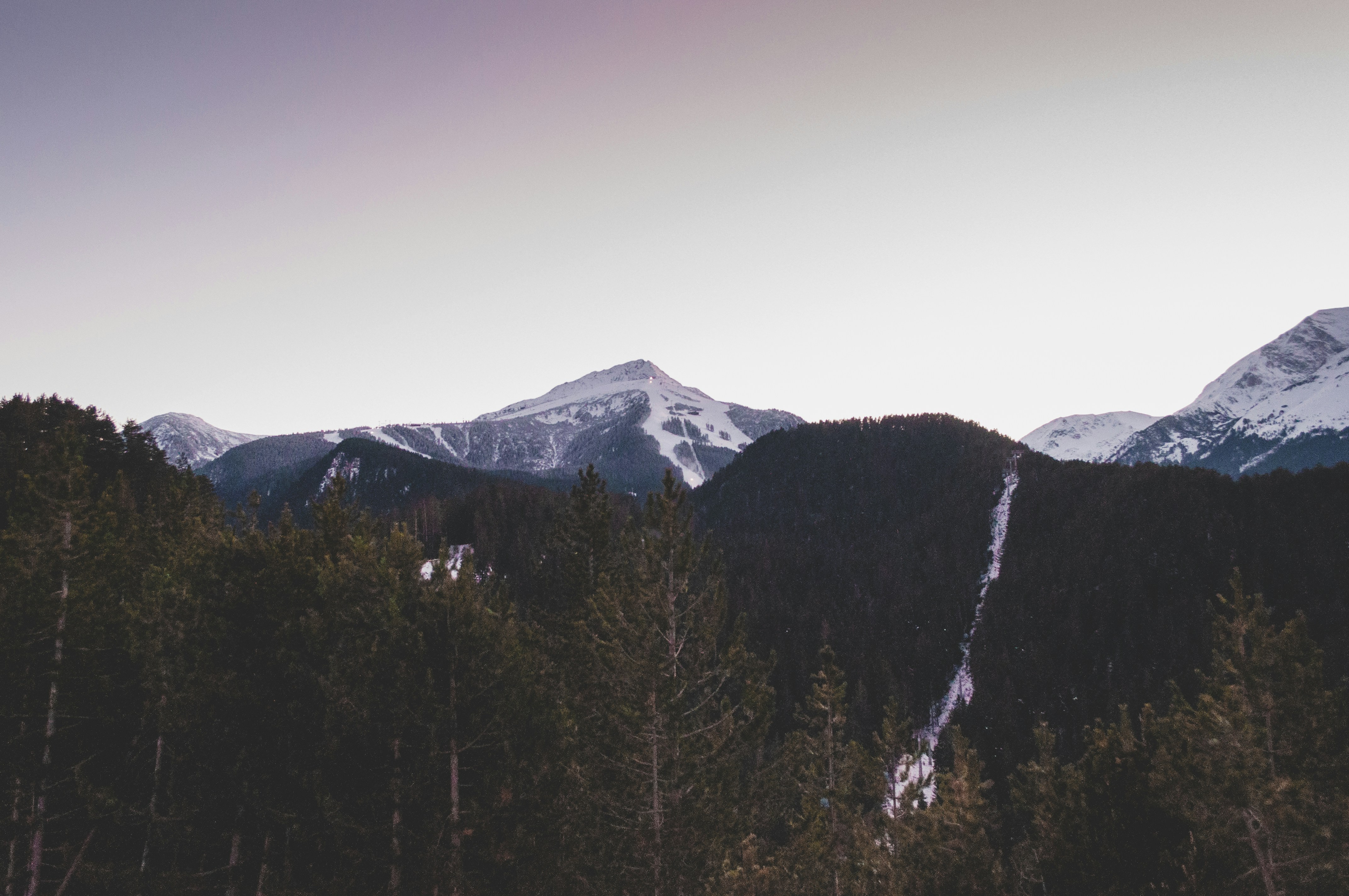 Photo by alexandramirghes