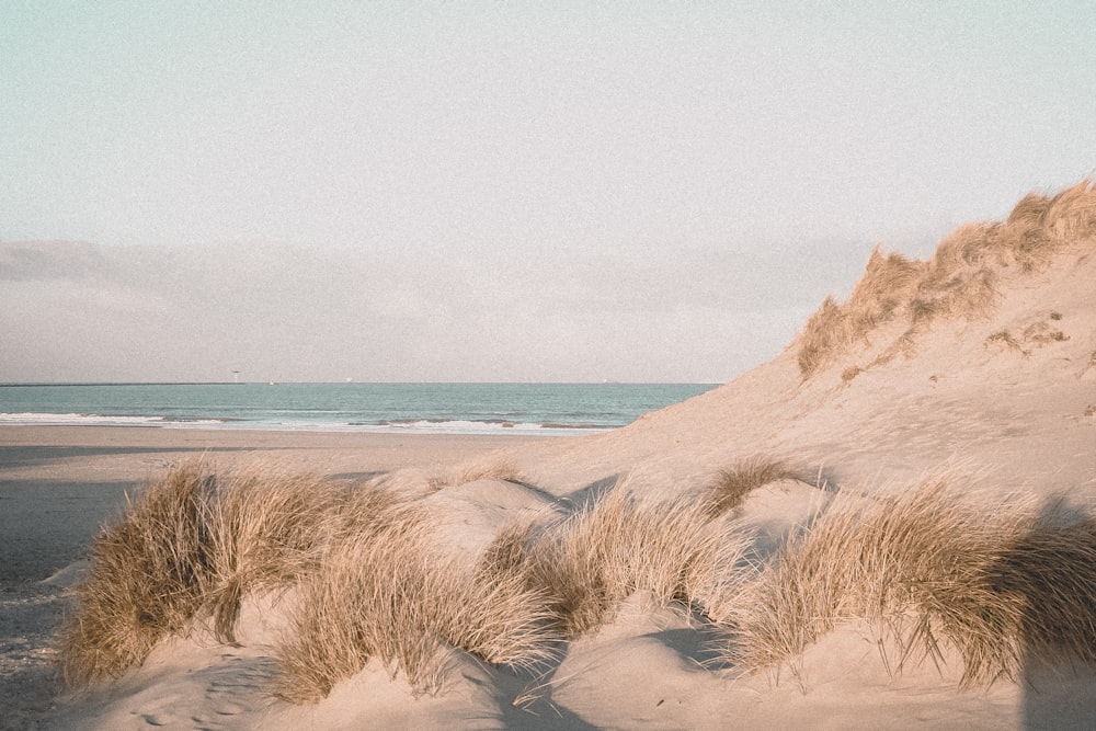 rock formation on beach