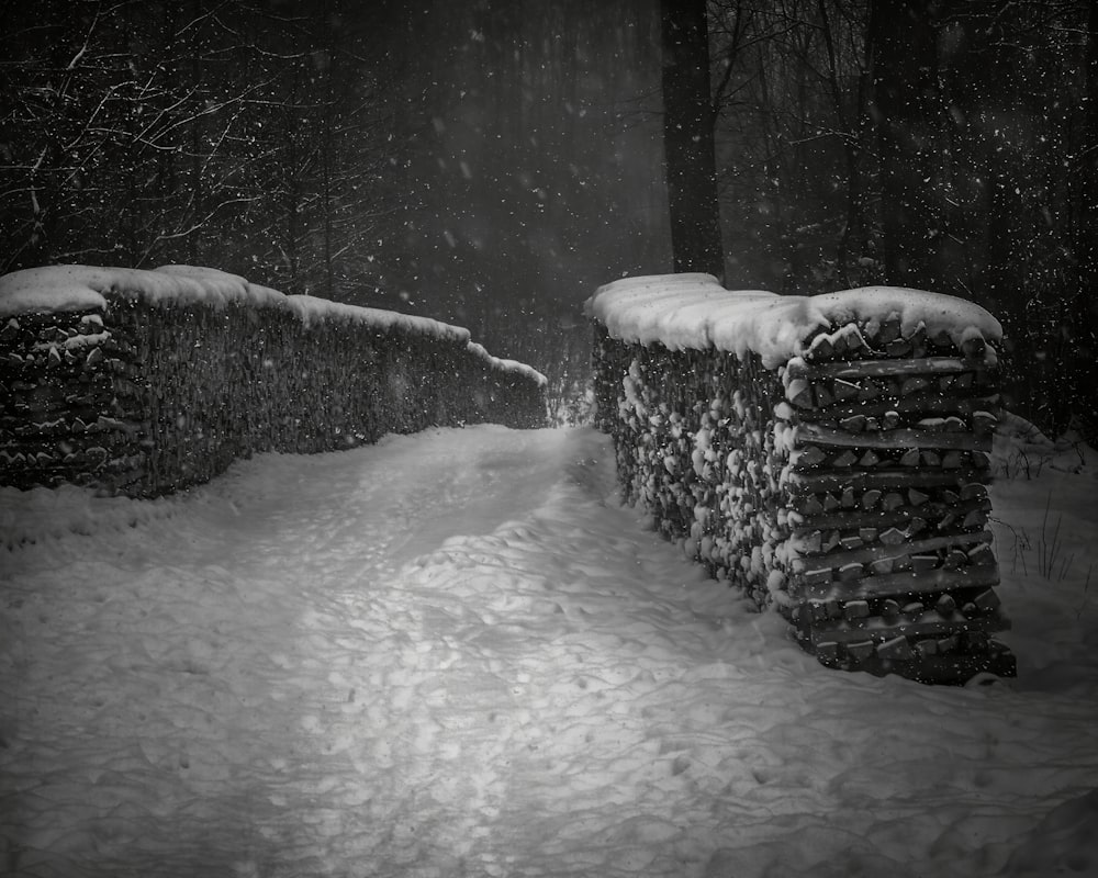 雪に覆われた舗装