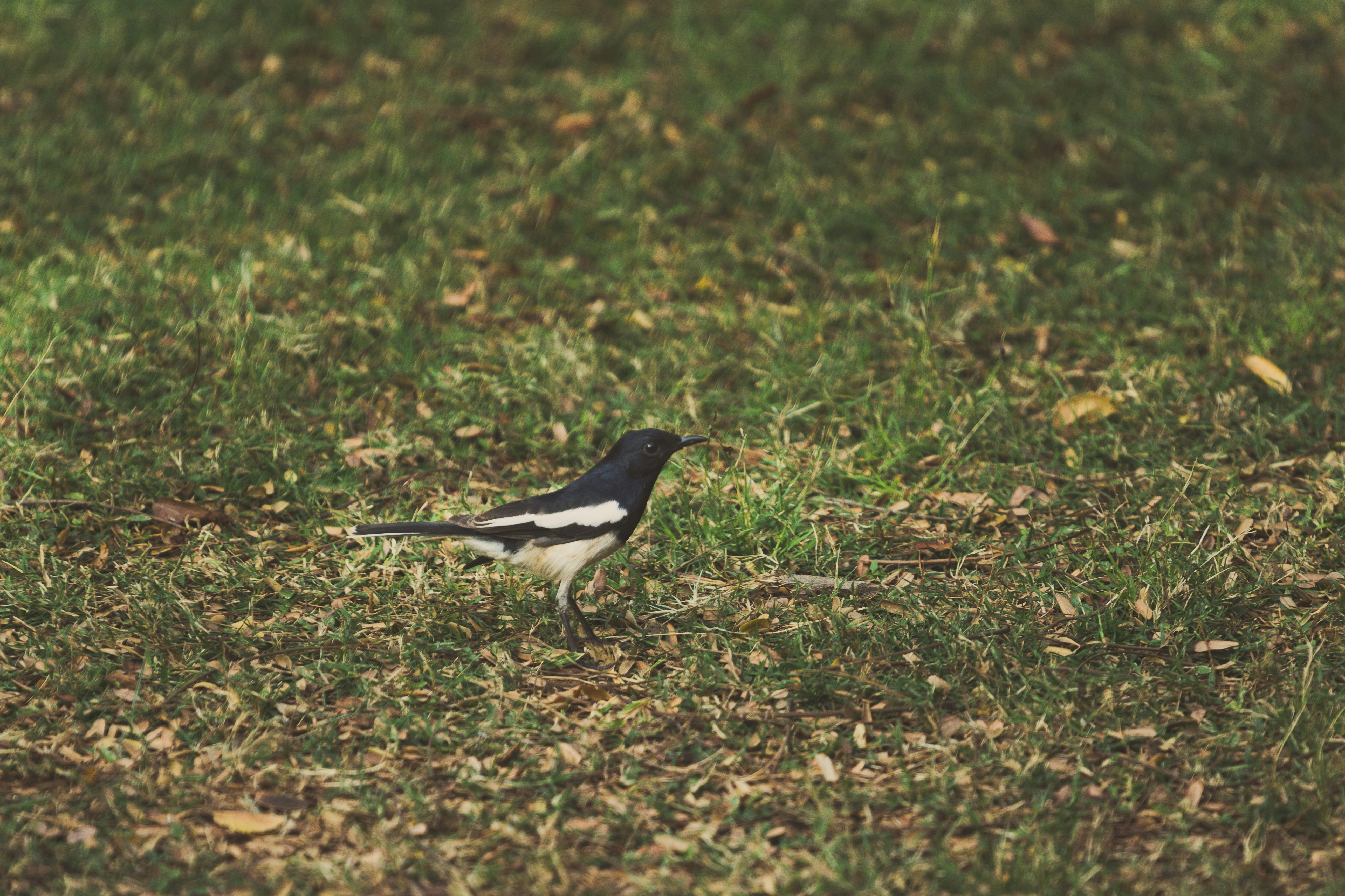 Photo by wildandbeyondbyvivek