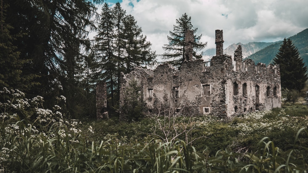 casa de concreto arruinada ao lado de árvores e plantas durante o dia