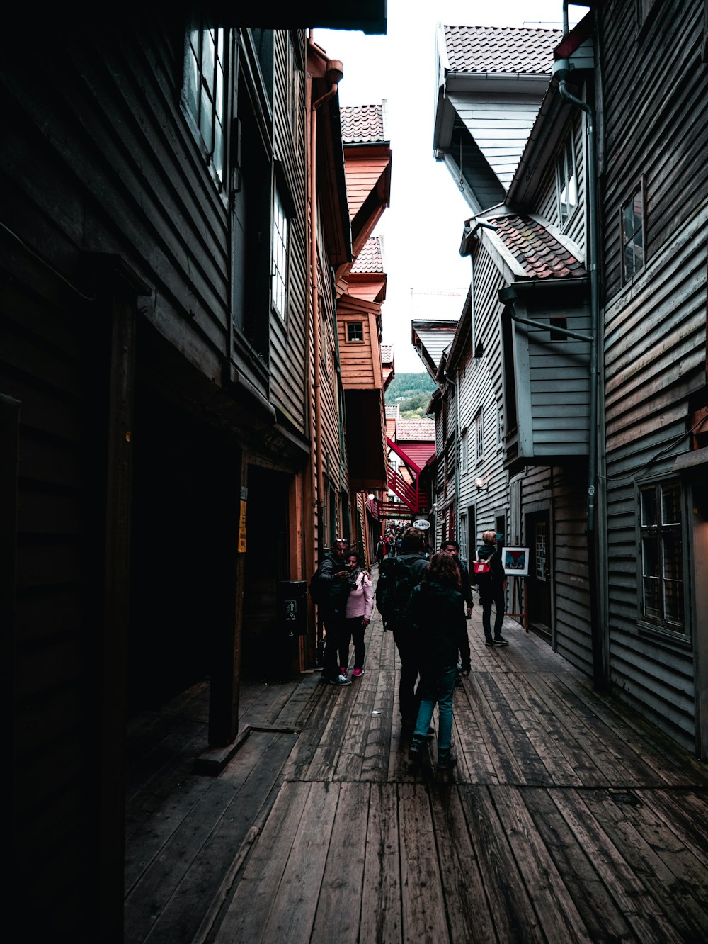 people walking on narrow pathway during daytime