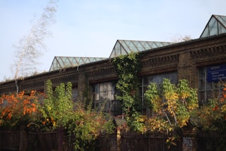 An old brick building with large glass windows partly covered by lush green and orange foliage. Vines and plants climb up the walls, adding a natural touch to the industrial structure. The roof features a set of triangular glass panels, indicating a greenhouse or factory design.