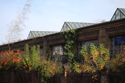An old brick building with large glass windows partly covered by lush green and orange foliage. Vines and plants climb up the walls, adding a natural touch to the industrial structure. The roof features a set of triangular glass panels, indicating a greenhouse or factory design.