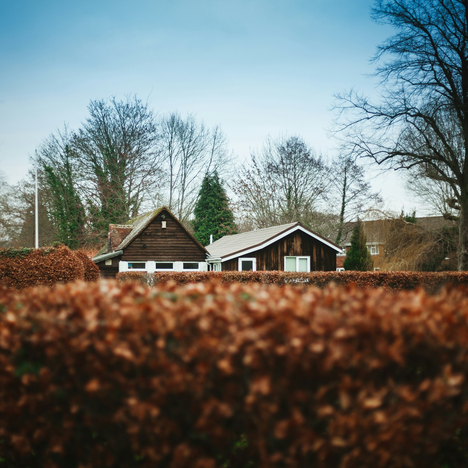 Canon EOS 5D + Canon EF 50mm F1.8 STM sample photo. Brown wooden house surrounded photography