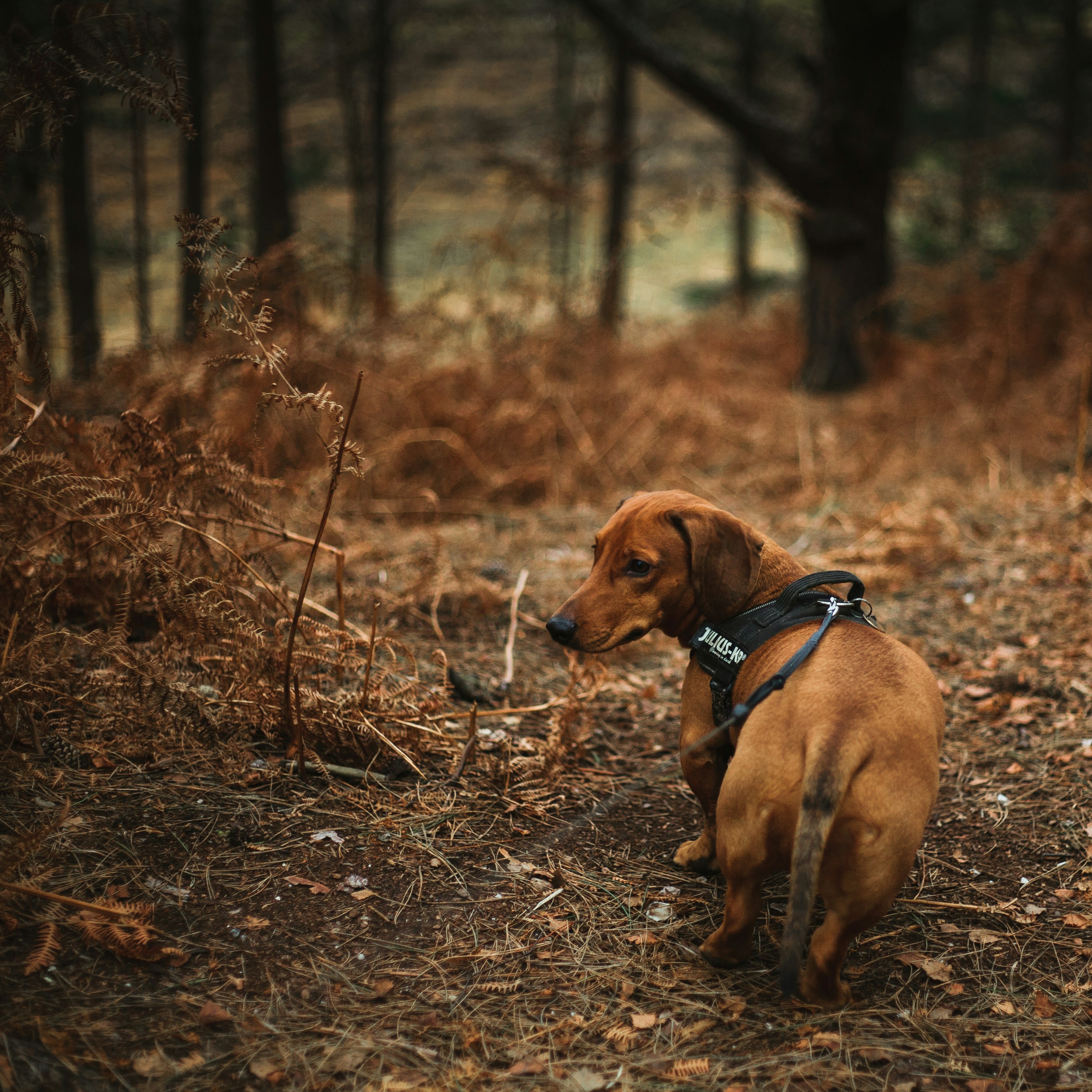 Photo by ethansexton