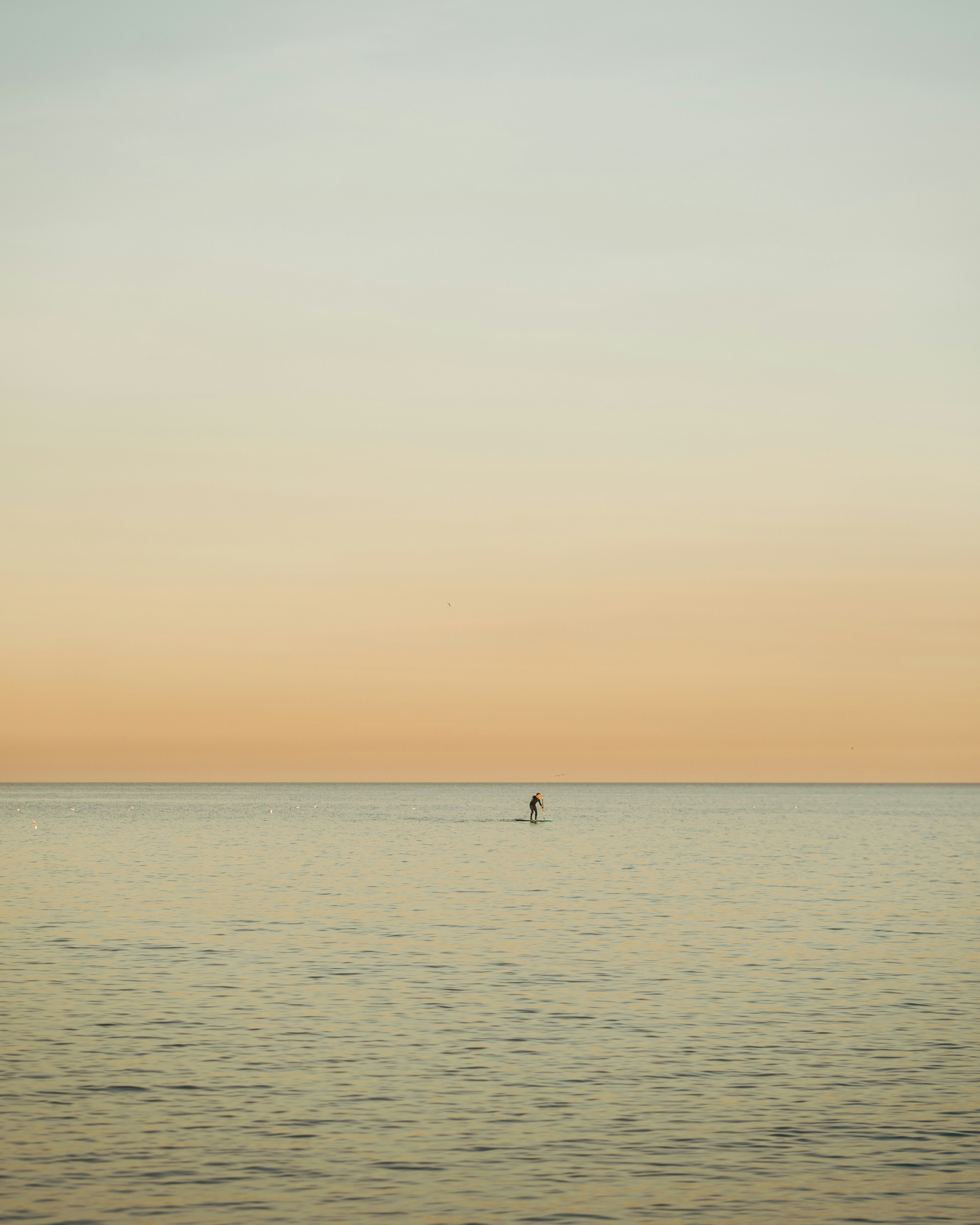 Photo by neudeckerfelix