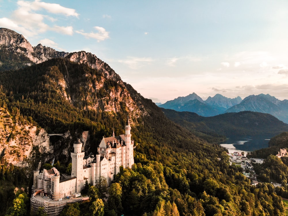 white concrete castle above the trees