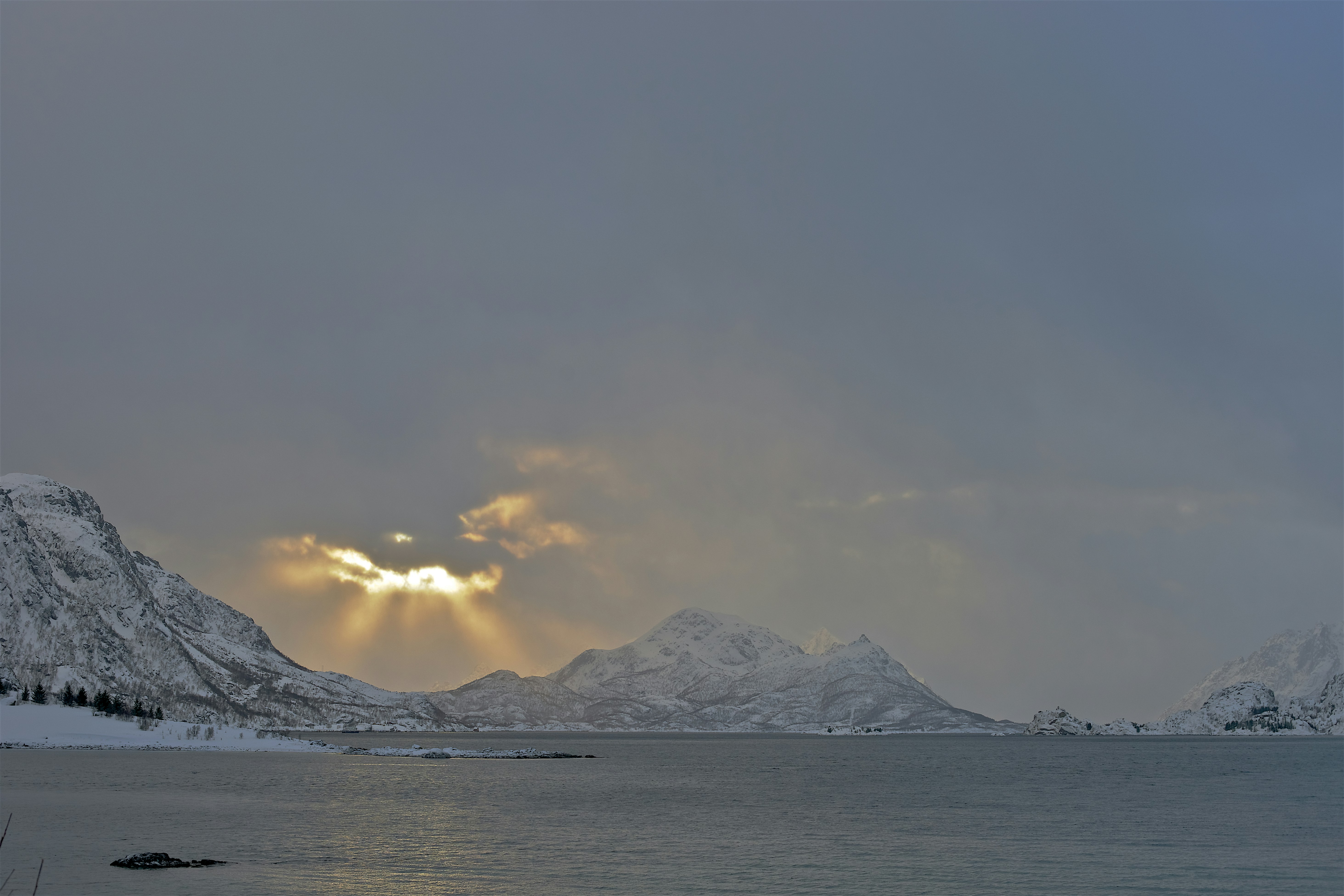 Photo by wolfgang_hasselmann