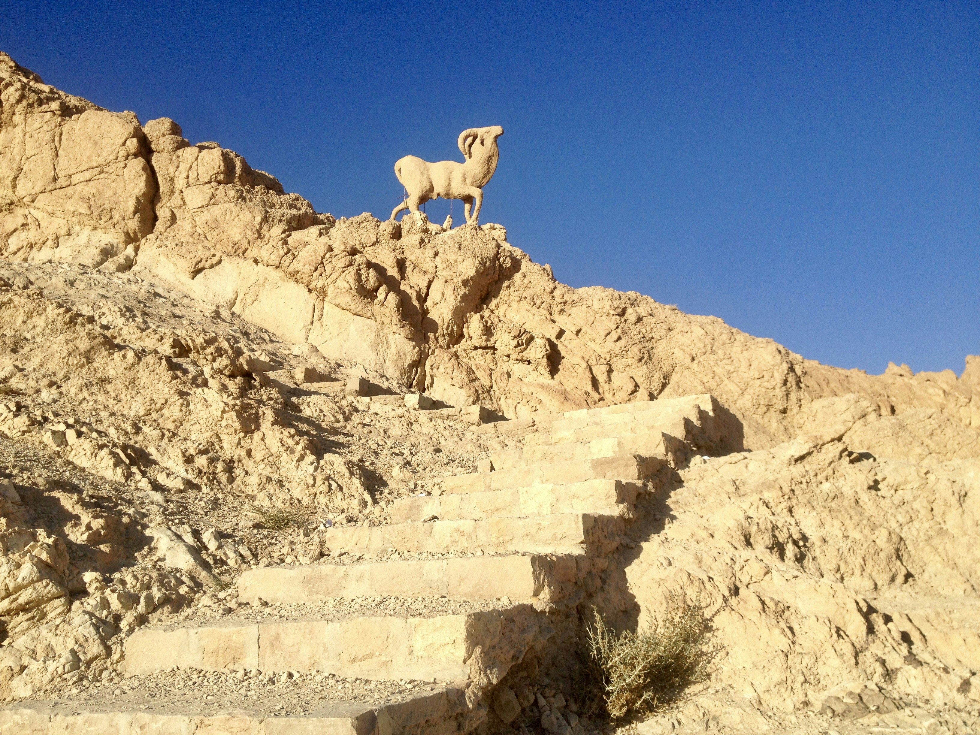 brown rock formation
