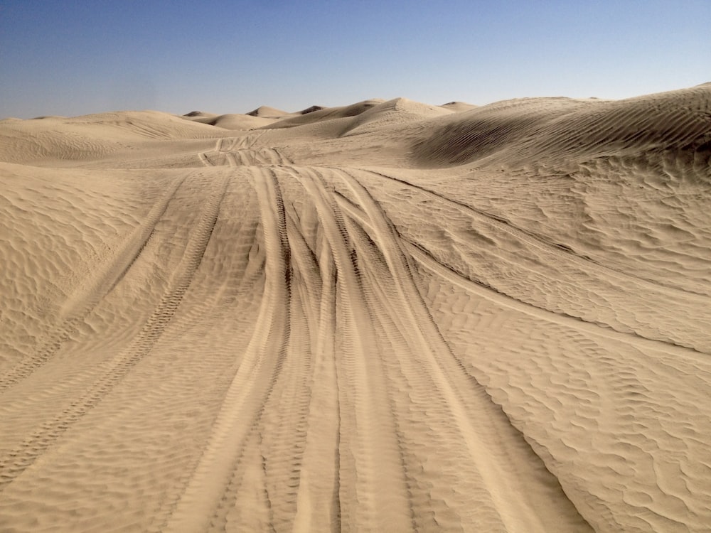 tire tracks on desert sand