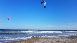Kitesurfers navigate the waves along a sandy beach under a clear blue sky. Colorful kites sail above the ocean, capturing the lively energy of the sport. Pebbles scatter across the shoreline, adding texture to the scene.