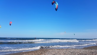 Kitesurfers navigate the waves along a sandy beach under a clear blue sky. Colorful kites sail above the ocean, capturing the lively energy of the sport. Pebbles scatter across the shoreline, adding texture to the scene.