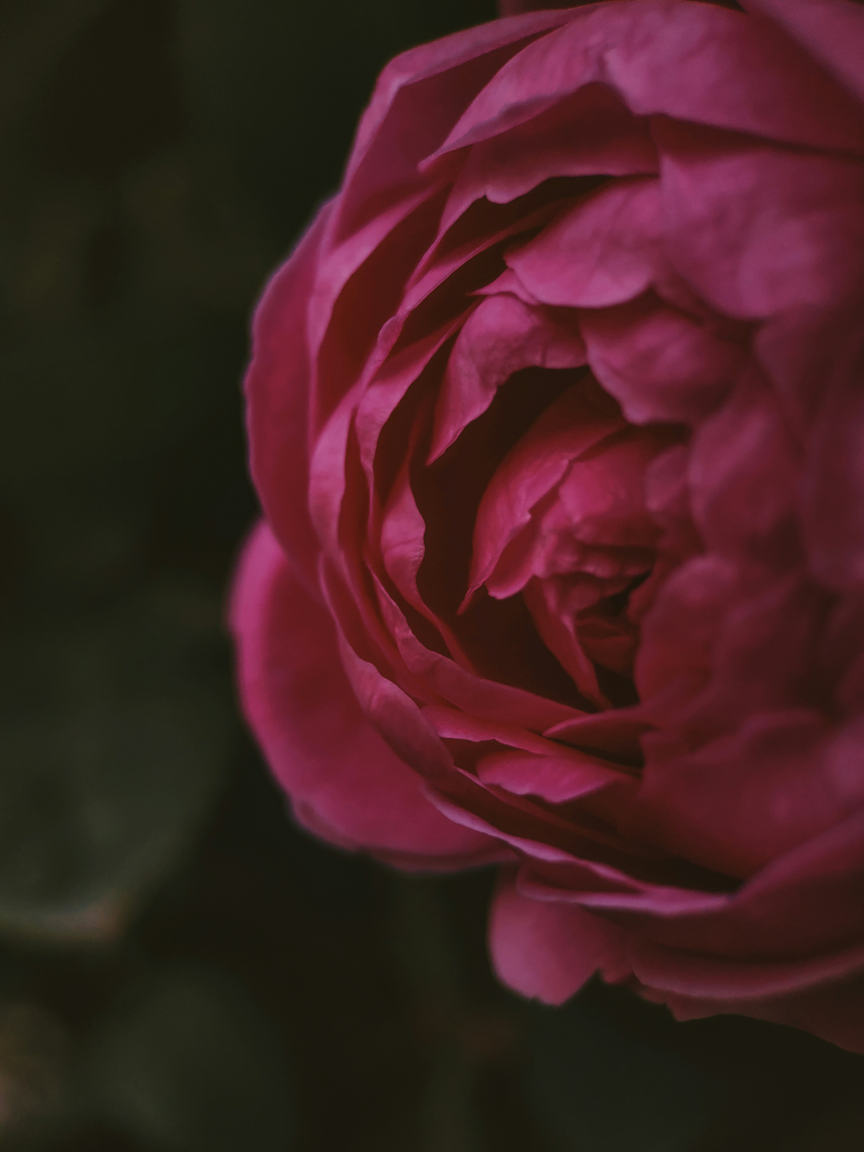 Photo by aniketh_kanukurthi