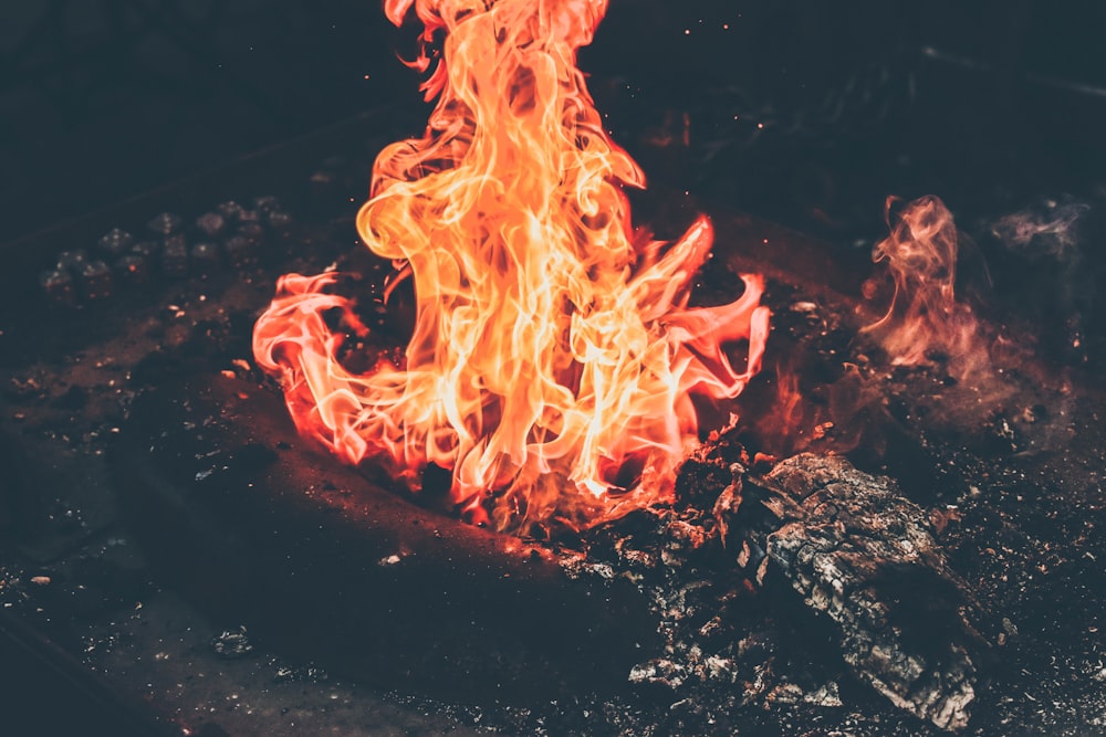 close-up photography of bonfire