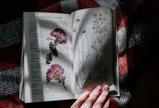 An open archival book displaying detailed botanical sketches on aged parchment, illuminated by soft natural light.