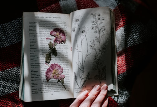 pink flowers in book