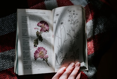 Hands holding a printed workbook titled 'Foundations of Natural Living' surrounded by fresh herbs and minerals.