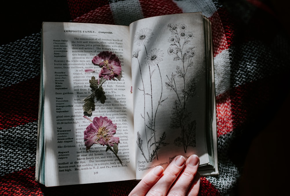 pink flowers in book