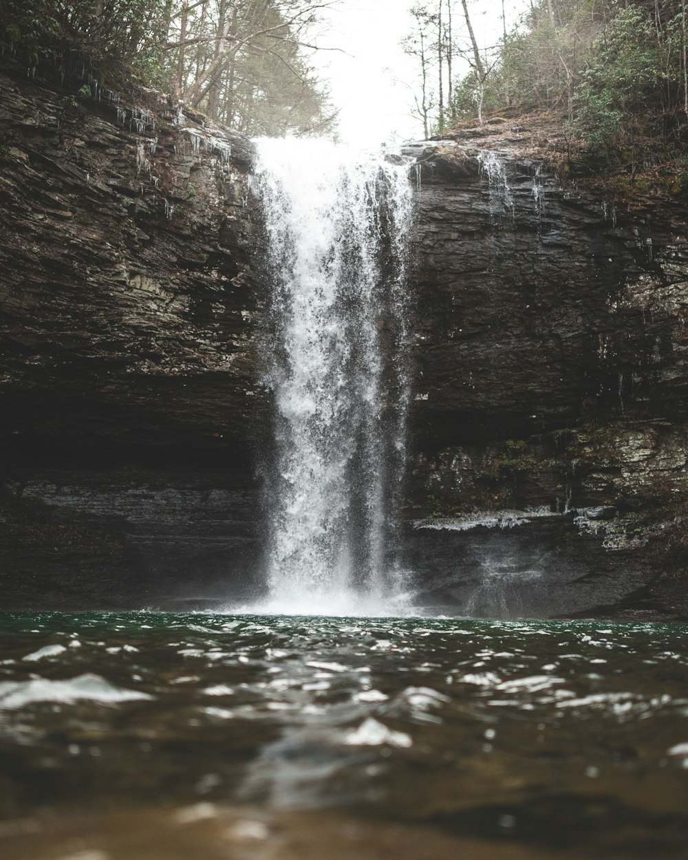 waterfall between trees