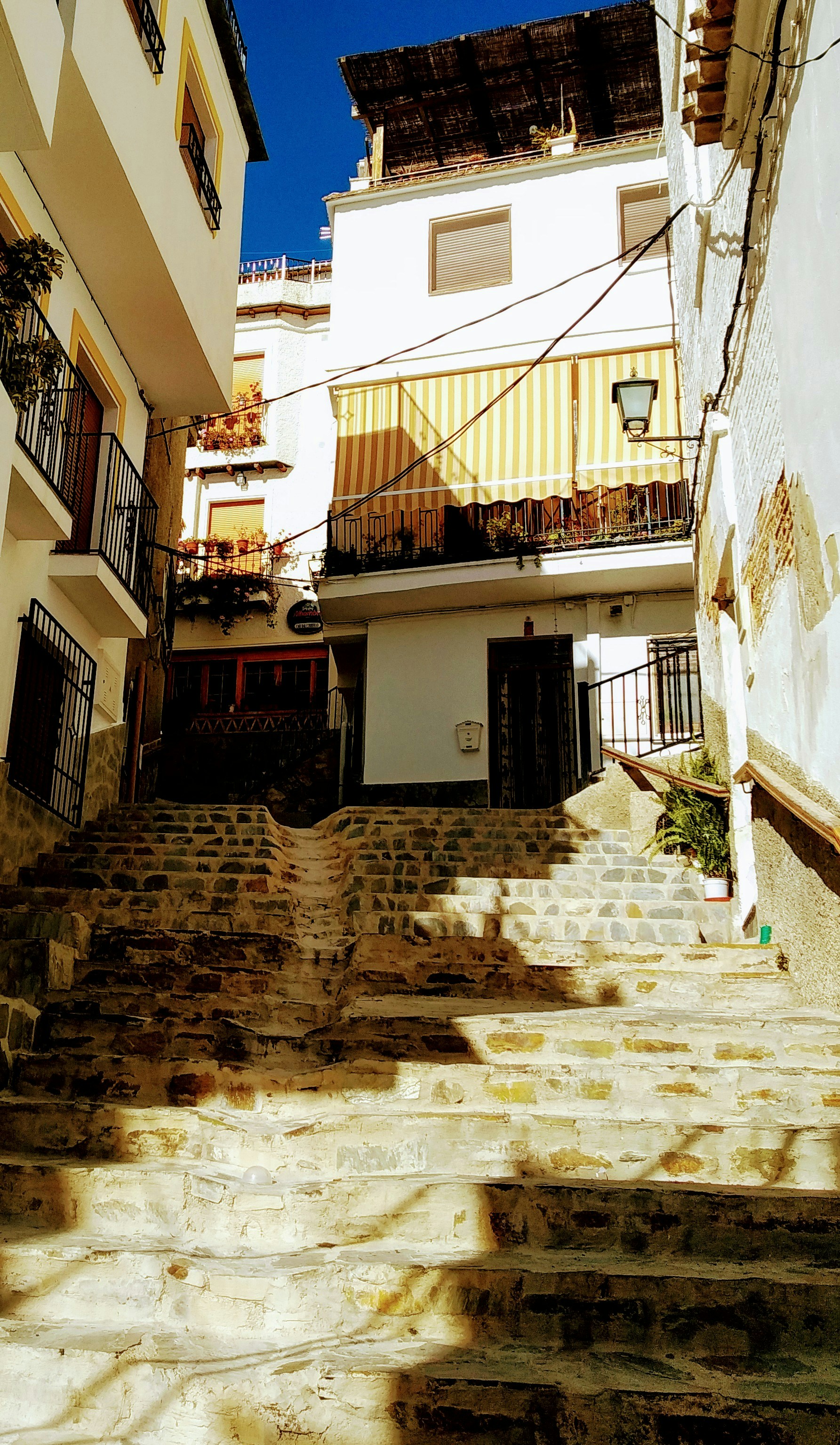 Photo by patriesparo