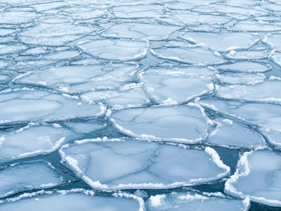 An expanse of sea ice with a pattern of interlocking plates. The ice surfaces vary slightly in texture and are edged with a layer of frost. The overall appearance suggests cold, harsh conditions typical of polar regions.