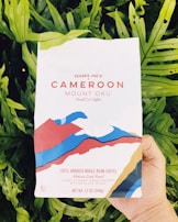 A hand holds a package of Trader Joe's Cameroon Mount Oku coffee, surrounded by lush green leaves. The coffee packaging features an abstract design with colors of blue, red, and gold, and provides details indicating it contains 100% Arabica whole bean coffee with flavor notes of honey, flower, sweet pepper, and chocolate.
