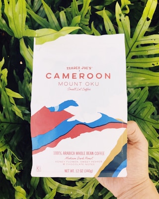 A hand holds a package of Trader Joe's Cameroon Mount Oku coffee, surrounded by lush green leaves. The coffee packaging features an abstract design with colors of blue, red, and gold, and provides details indicating it contains 100% Arabica whole bean coffee with flavor notes of honey, flower, sweet pepper, and chocolate.
