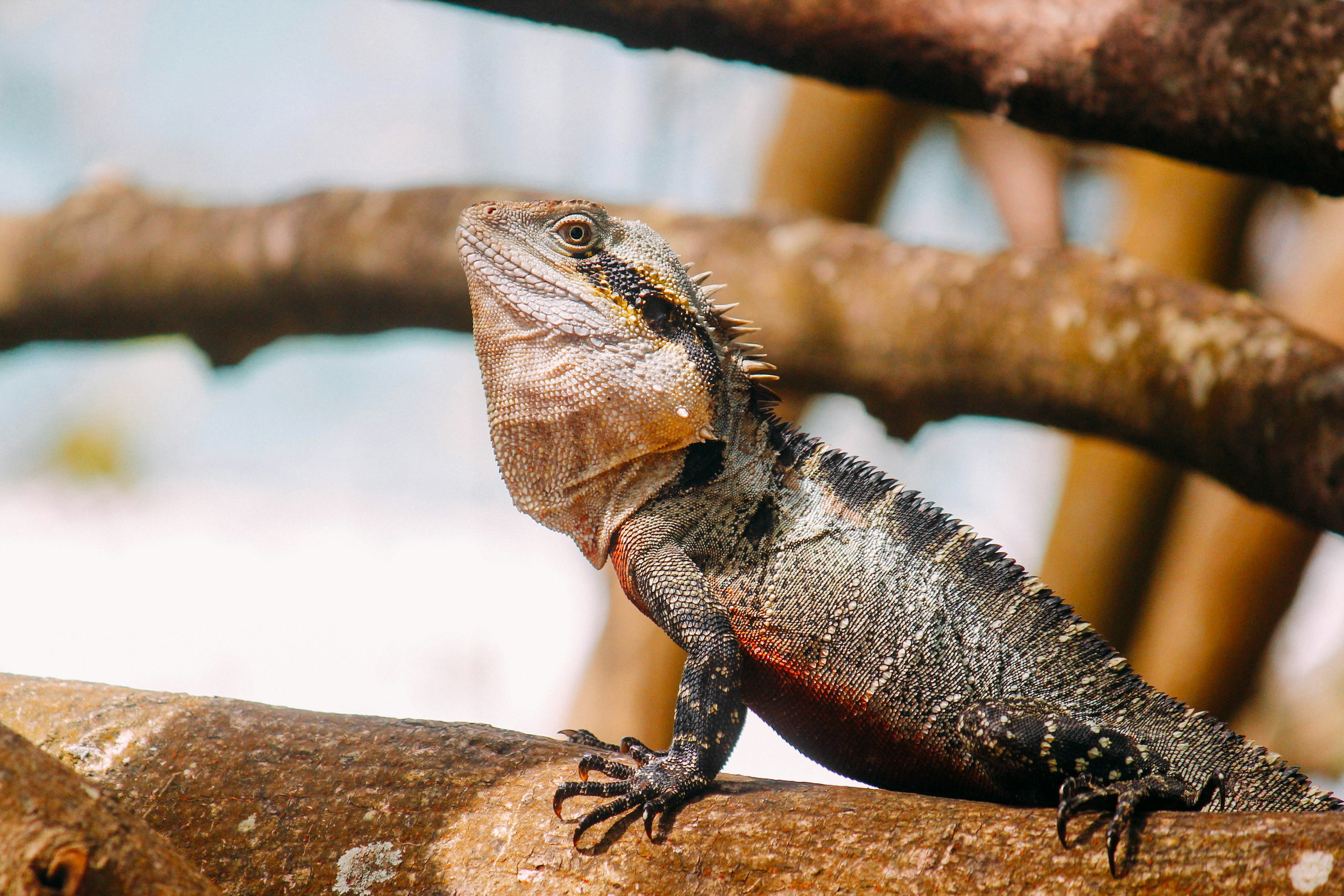 Photo by liamedwards