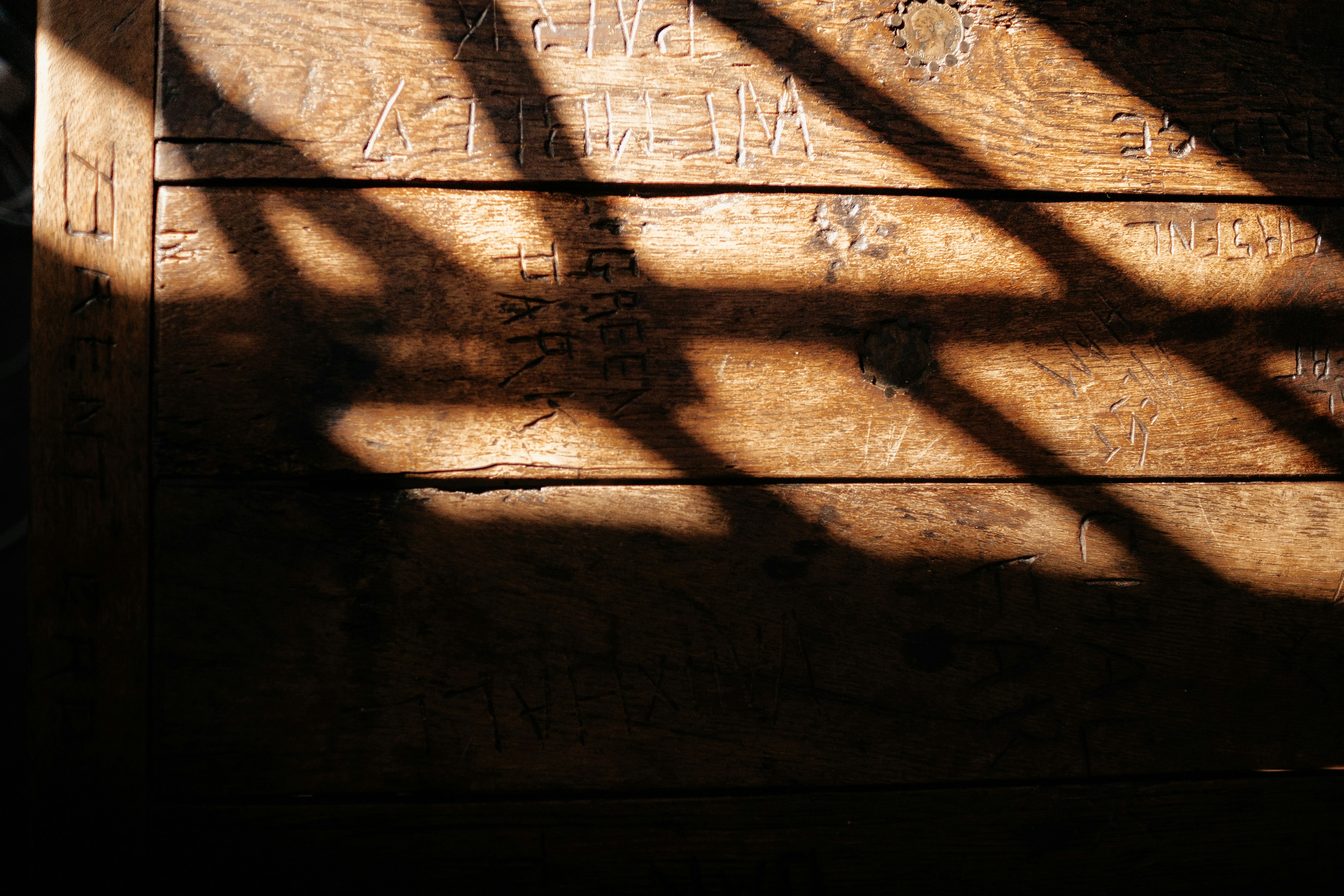 Photo by devonhwilson