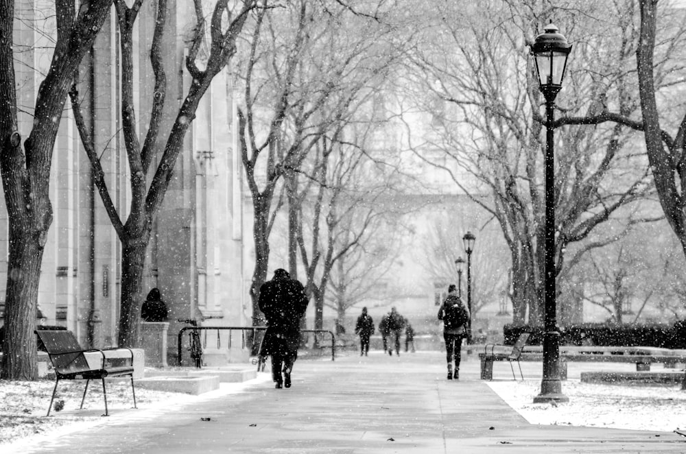 greyscale photo of people walking on park during winter
