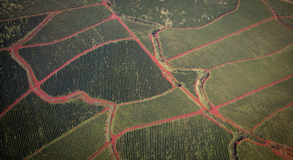 birds eye photo of fields